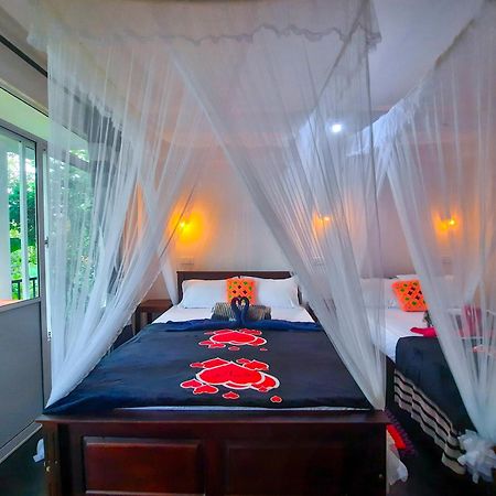 The Bliss Homestay 埃拉 外观 照片
