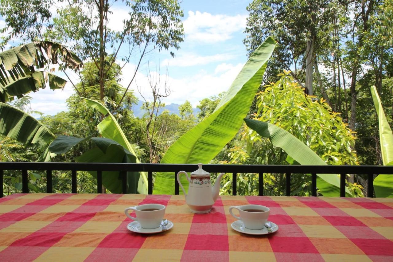 The Bliss Homestay 埃拉 外观 照片