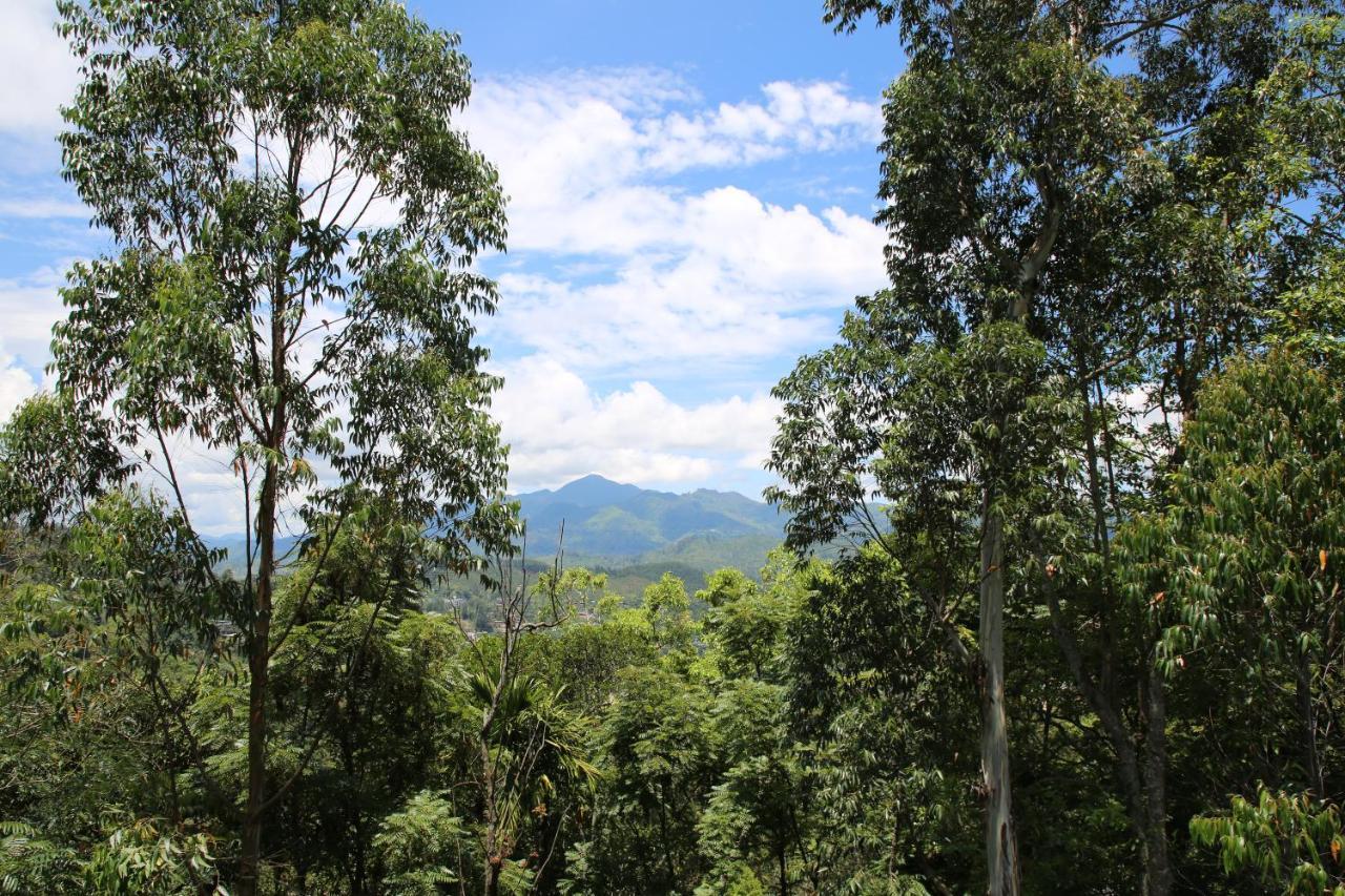 The Bliss Homestay 埃拉 外观 照片