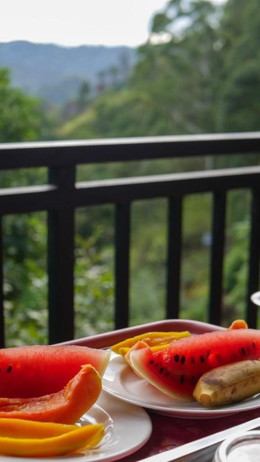 The Bliss Homestay 埃拉 外观 照片