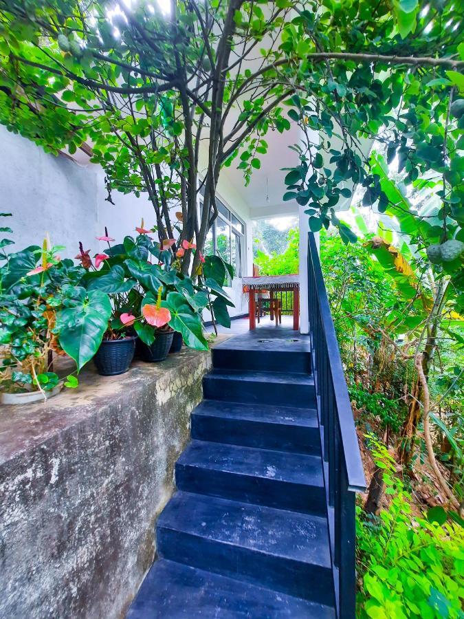 The Bliss Homestay 埃拉 外观 照片